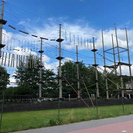 Knus Boomstamhuisje Op De Schatberg - Nabij Toverland セフェーヌム エクステリア 写真