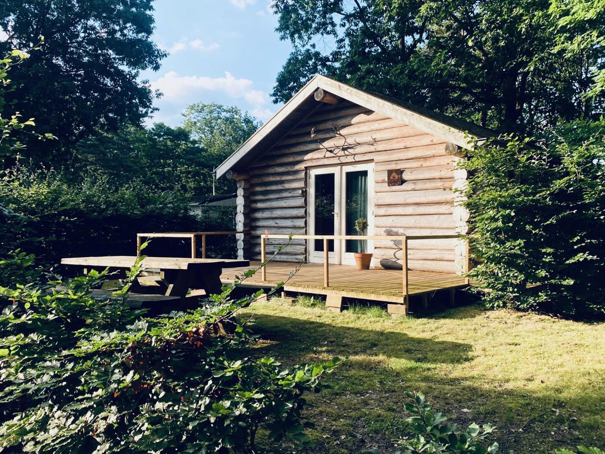 Knus Boomstamhuisje Op De Schatberg - Nabij Toverland セフェーヌム エクステリア 写真